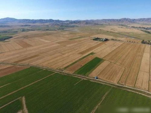 無人機(jī)鏡頭下的新疆環(huán)保 建設(shè)與發(fā)展中的生態(tài)保護(hù)