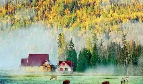 新疆15處美景上榜，生態保護與旅游發展相得益彰