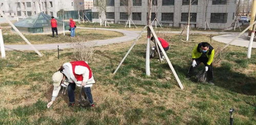東城街道馬家坪社區 “雙報到”黨員先鋒行，攜手共建美麗家園