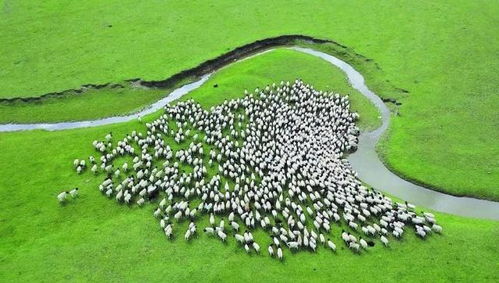 新疆 以環保為基，升級設施與服務，打造高品質旅游新名片